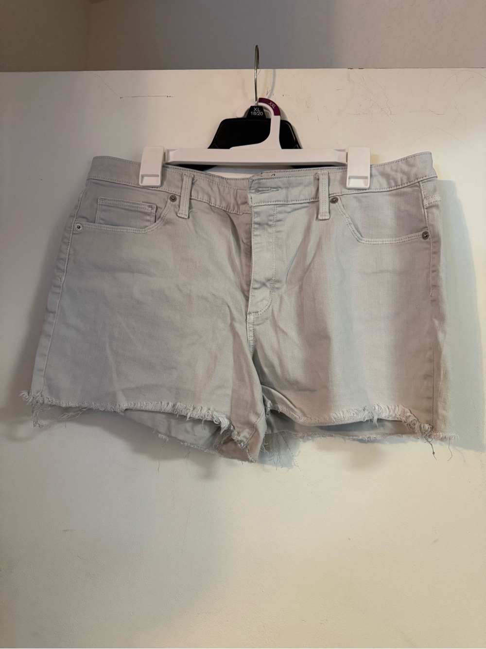 Universal Thread Light Gray Frayed Hem Jean Shorts